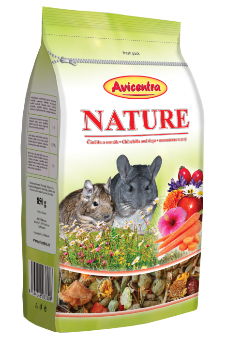 Chinchilla and degu nature