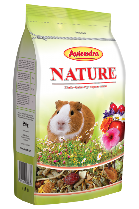 Guinea pig nature